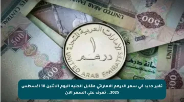 تغير جديد في سعر الدرهم الإماراتي مقابل الجنيه اليوم الاثنين 18 أغسطس 2025.. تعرف على السعر الآن